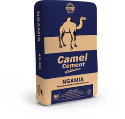 Camel Cement Ngamia 42.5N 50 kg bag