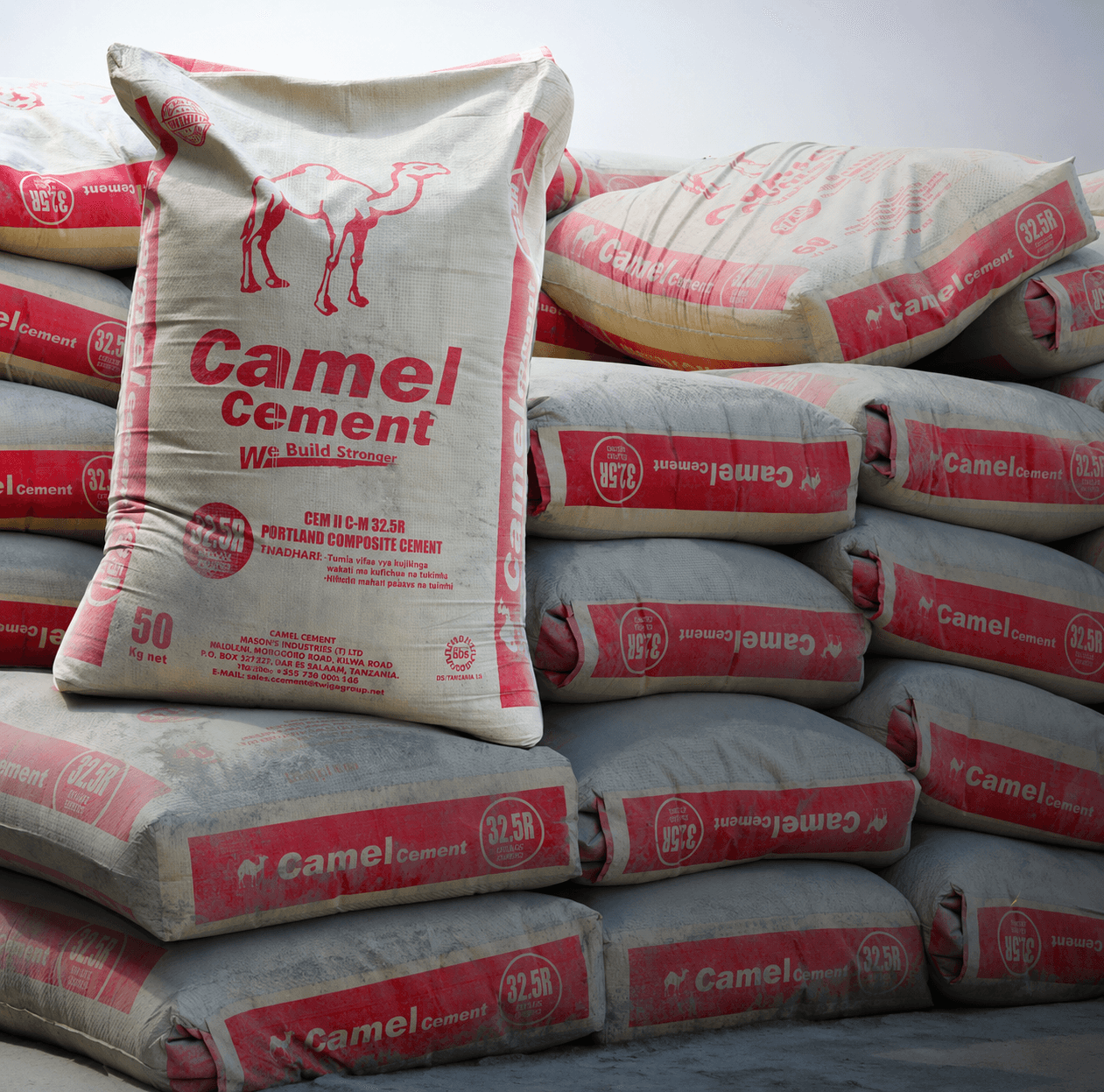 Camel Cement team and manufacturing operations in Mbagala, Dar es Salaam
